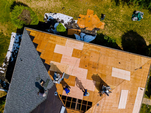 Best Metal Roofing Contractor  in Elgin, IL