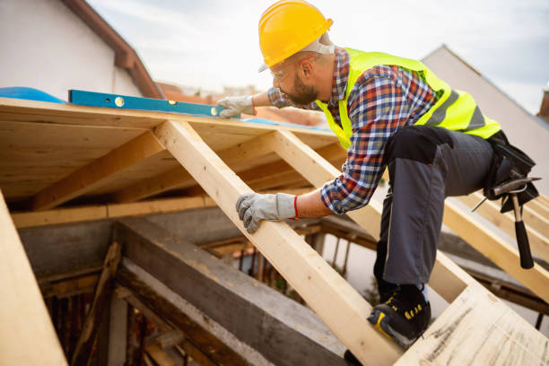 Roof Gutter Cleaning in Elgin, IL